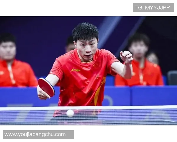 北京乒乓球队耐力对比深度解析与训练方法探讨